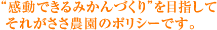 “感動できるみかんづくり”を目指してそれがささ農園のポリシーです。