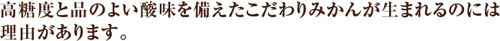 高糖度と品のよい酸味を備えたこだわりみかんが生まれるのには理由があります。