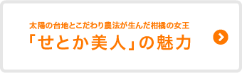 “太陽の台地とこだわり農法が生んだ柑橘の女王「せとか美人」の魅力