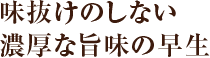 味抜けのしない濃厚な旨味の早生