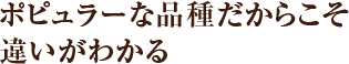 ポピュラーな品種だからこそ違いがわかる