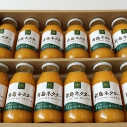 青島ネクター(12本入り)
